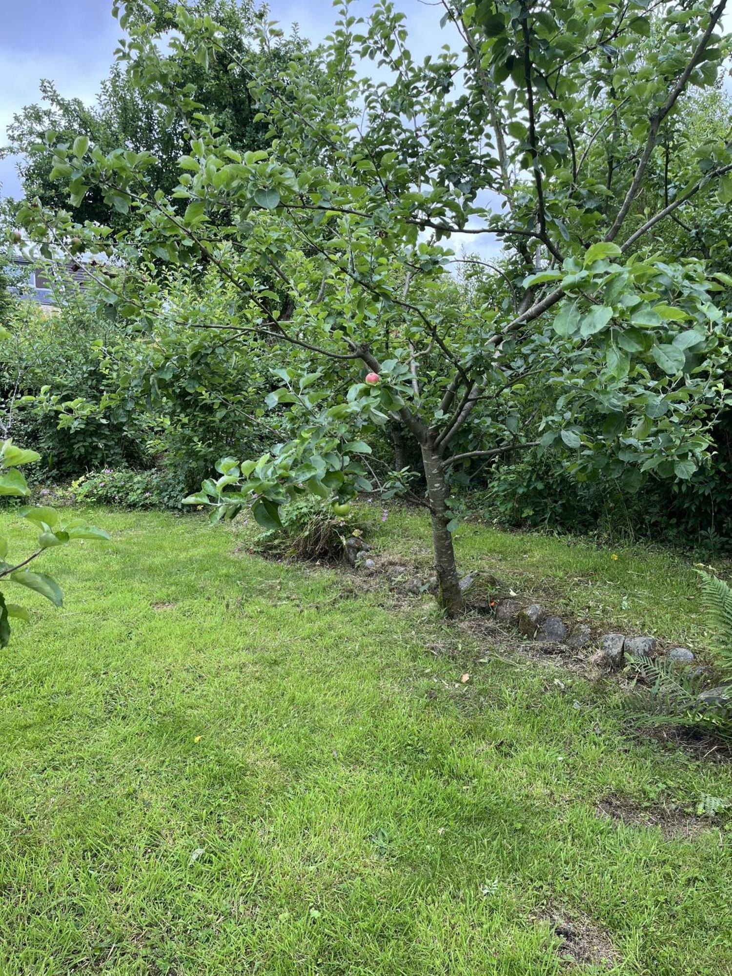 Apple Cottage Newton Stewart Exteriér fotografie